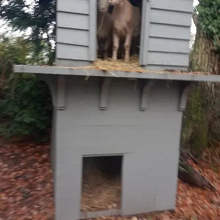 Bergerie بيت للعطل Bracquetuit