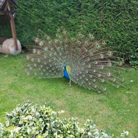 Σπίτι διακοπών Bergerie